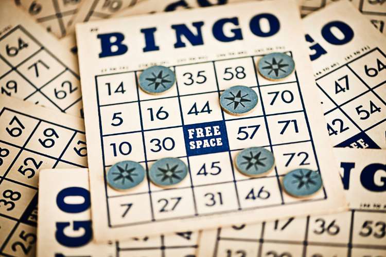 how to play bingo for free online