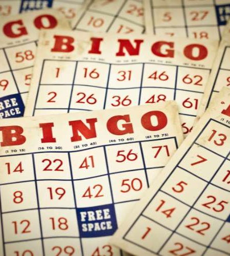 Bingo Loyalty Programs: How to Get the Most Out of Them