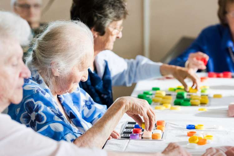 bingo tournaments a guide to joining and winning